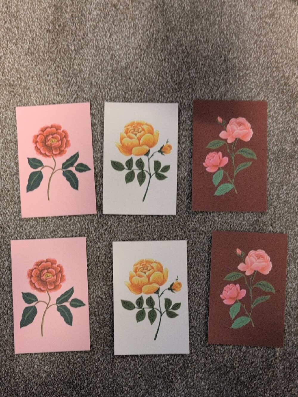 NWOT Rifle Paper Co. Floral Rose Postcards - Picture 3 of 3